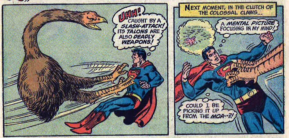 From the annals of big bird-dom: Superman the moa