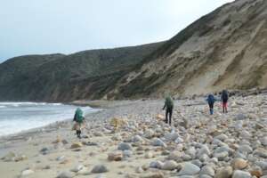 Great Walks of New Zealand: The Ultimate Hiker’s Guide