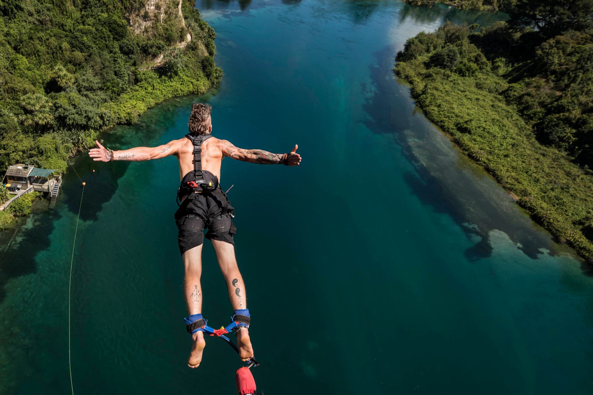 Your complete Guide to Bungee Jumping in New Zealand: Where,When, How