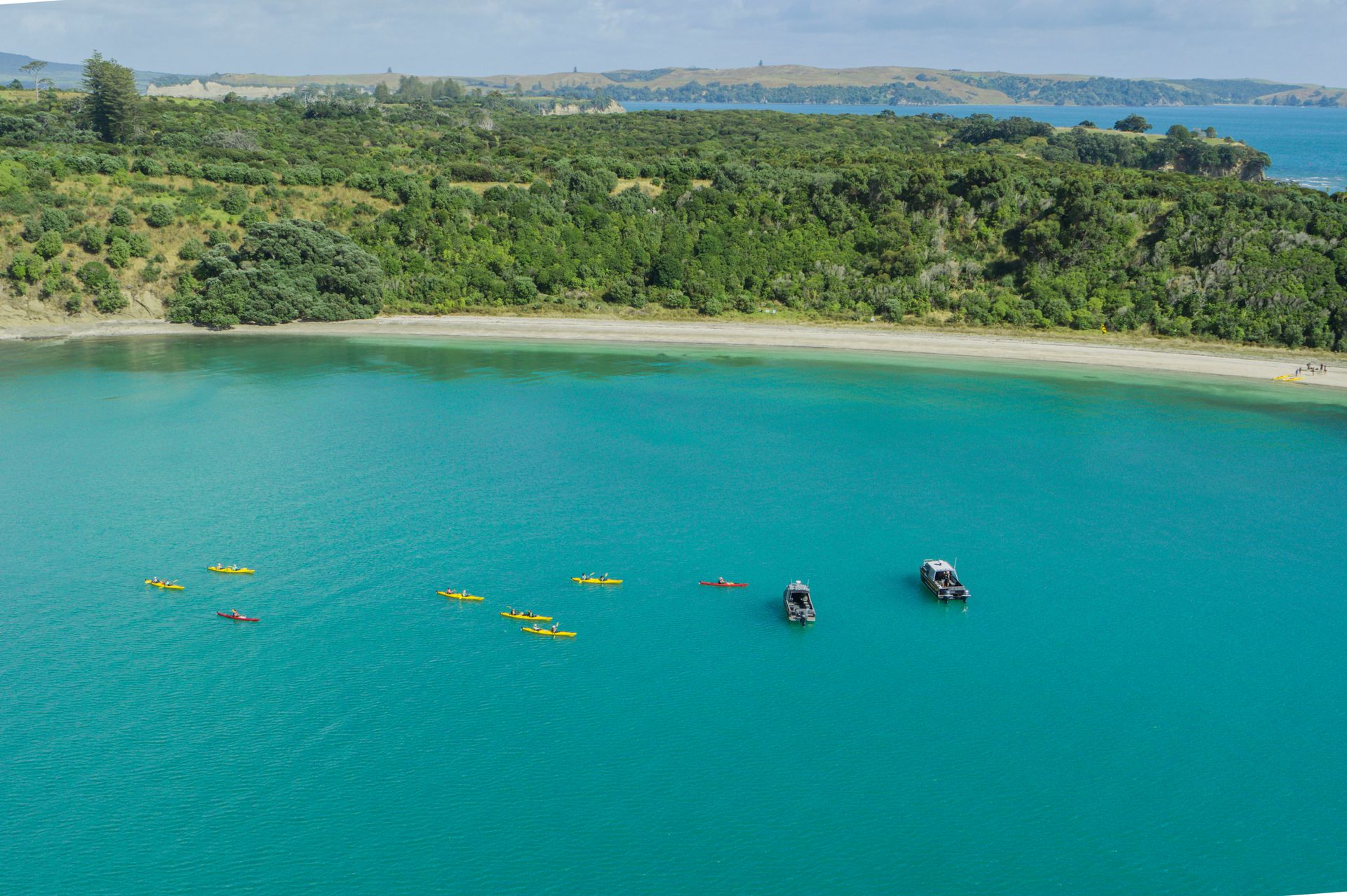 The 7 Best Beaches Near and Around Auckland, New Zealand