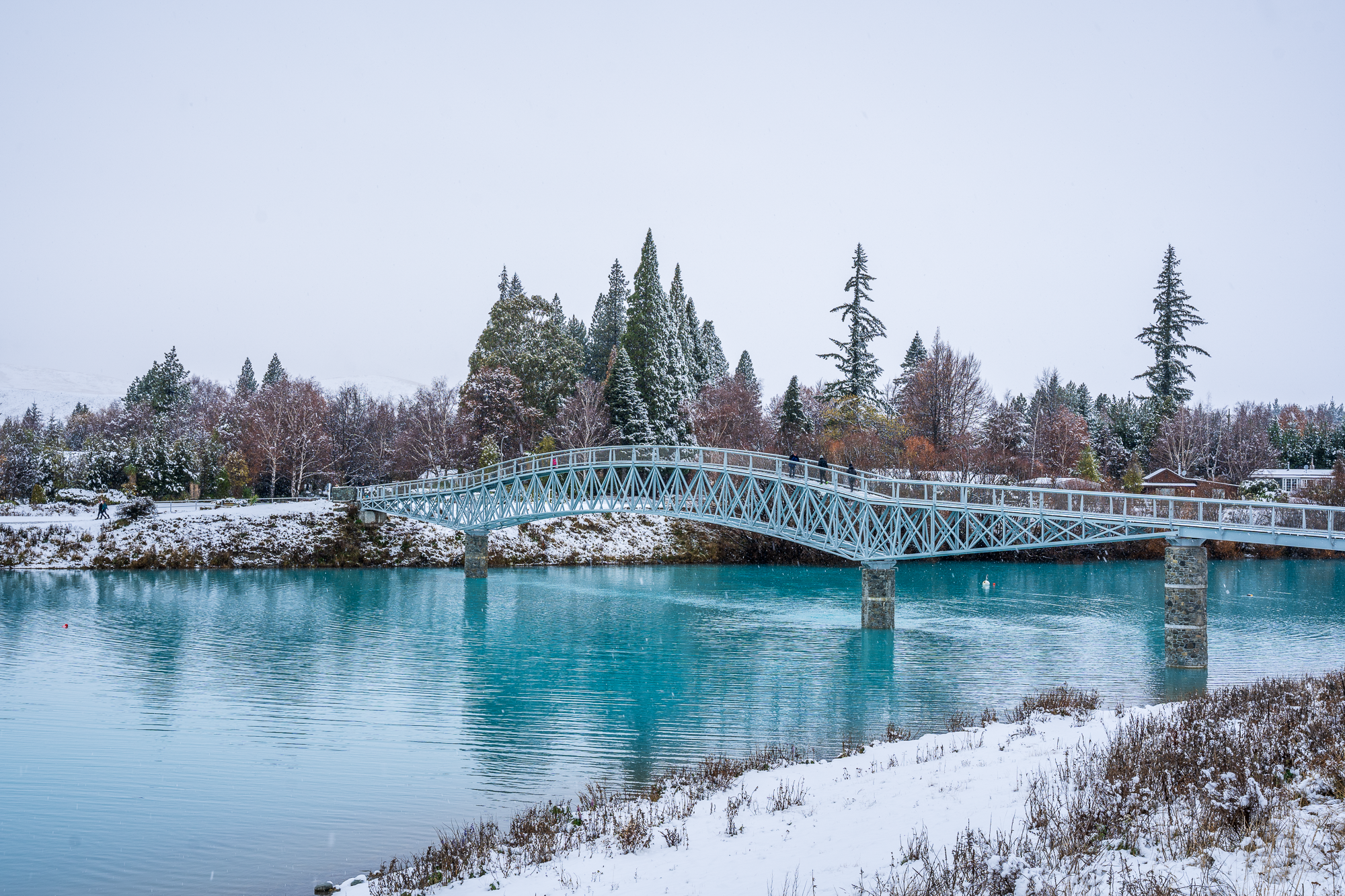 The 1964 guide to the best rural bridges of the South Island