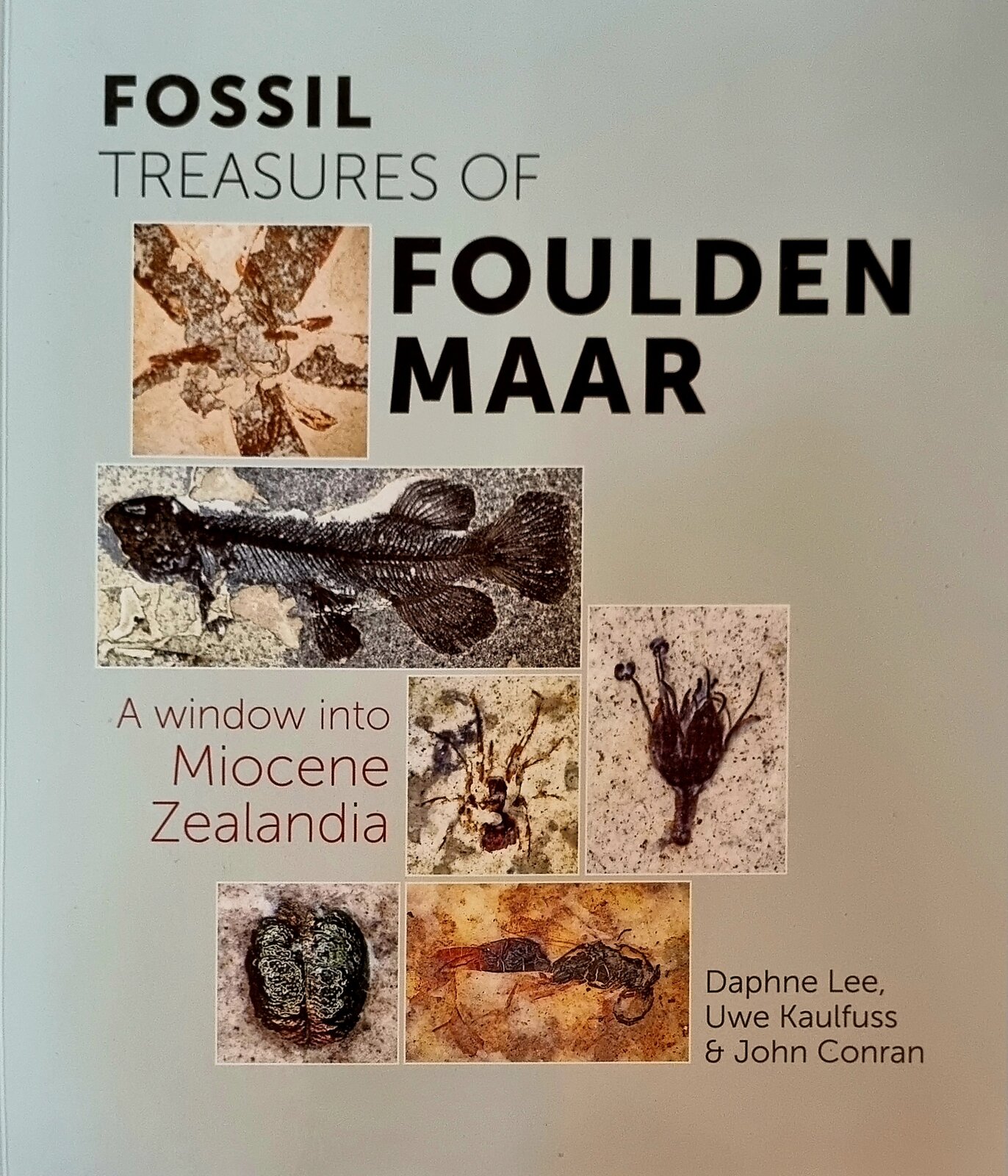 Book review: Fossil Treasures of Foulden Maar – A window into Miocene Zealandia