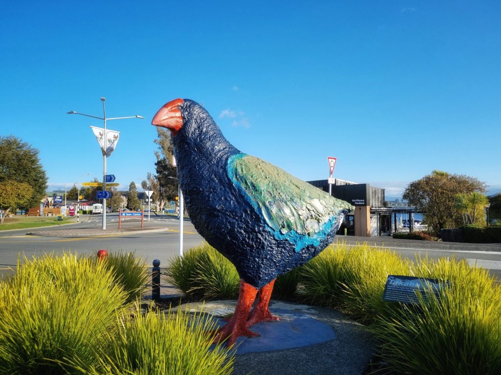 Te Anau Takahe landscape