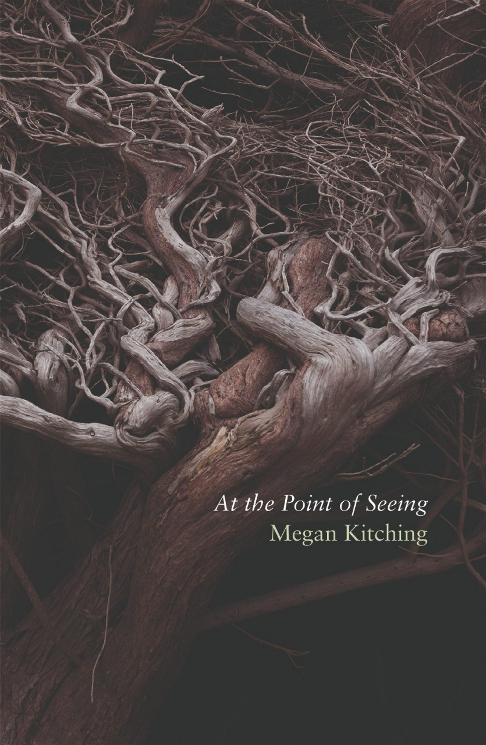 Book review: At the Point of Seeing