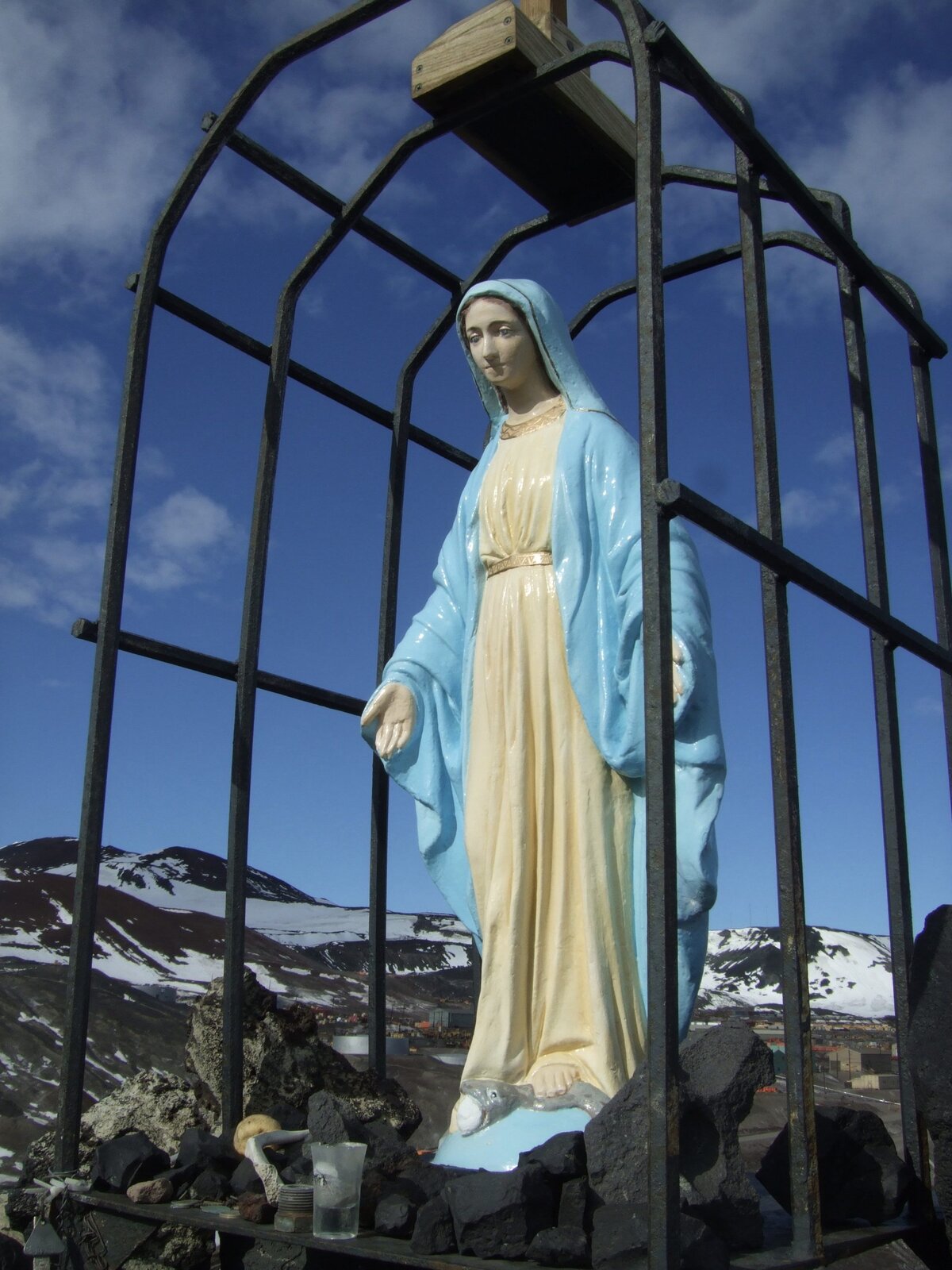 Roll Cage Mary        