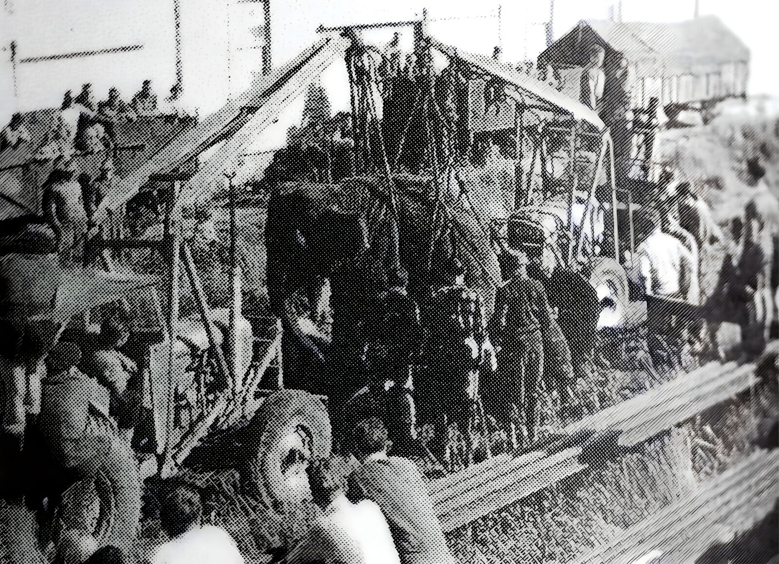 An elephant’s graveyard