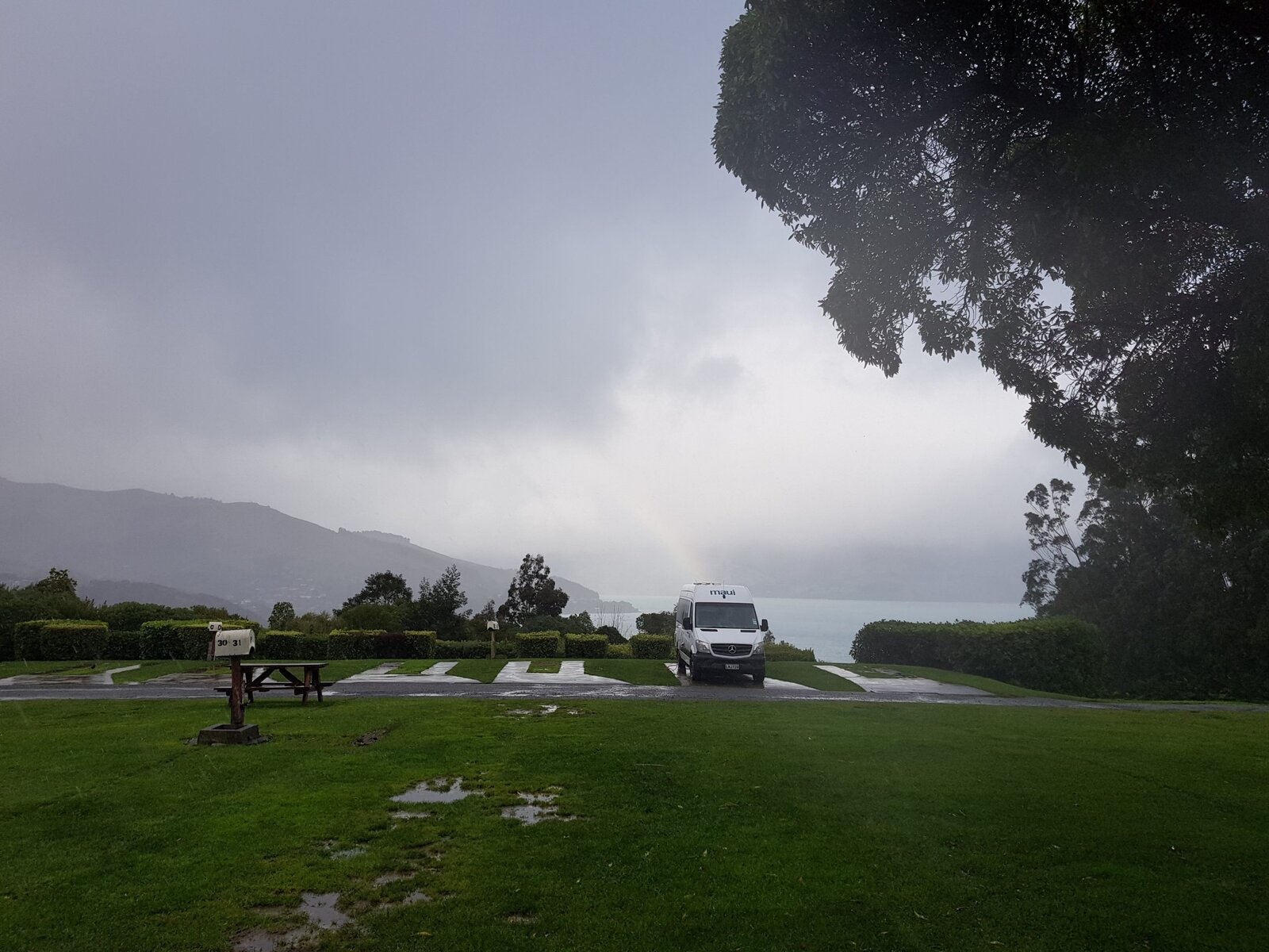 Natural Born Campervanners