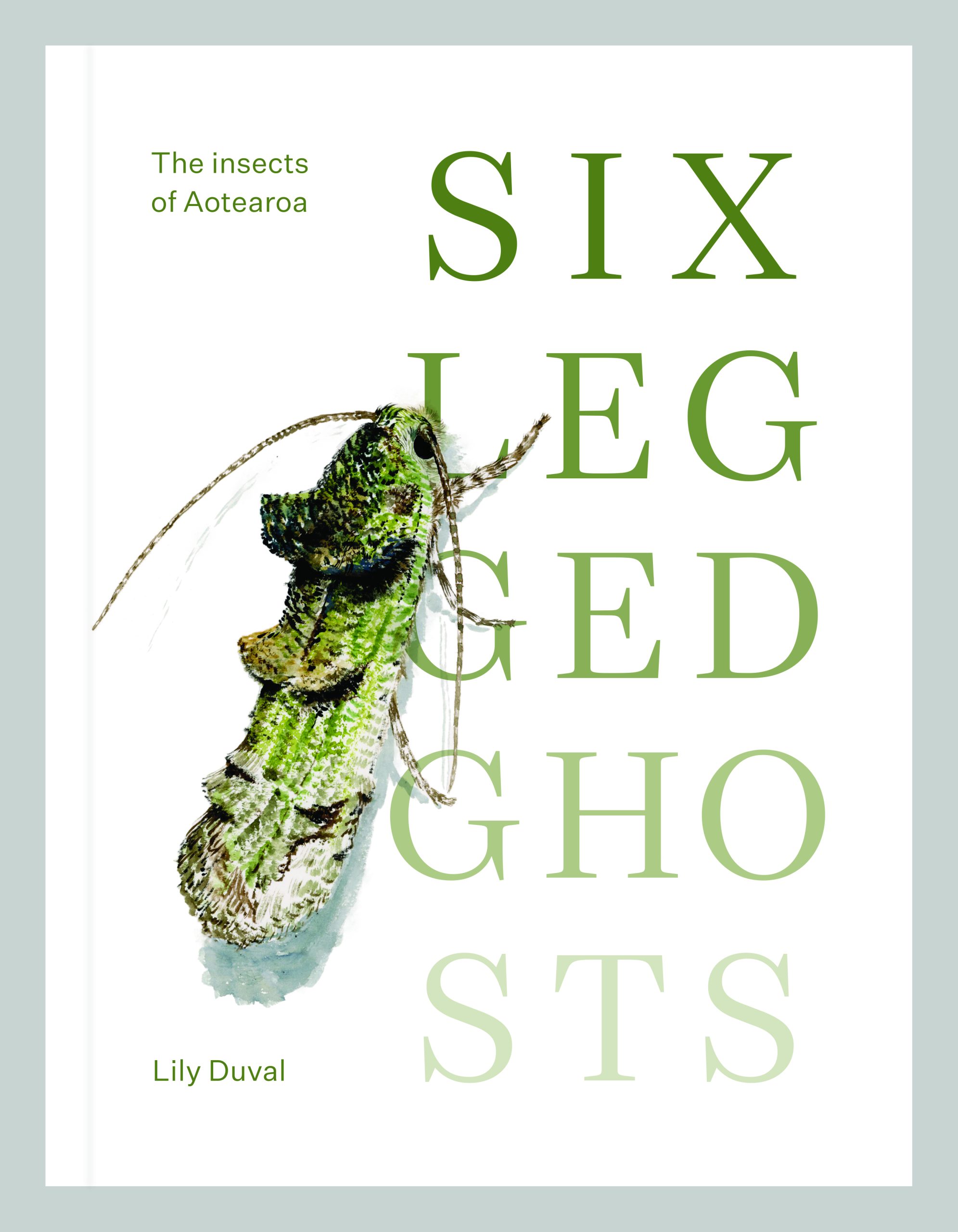Book review: Six-legged Ghosts – the insects of Aotearoa