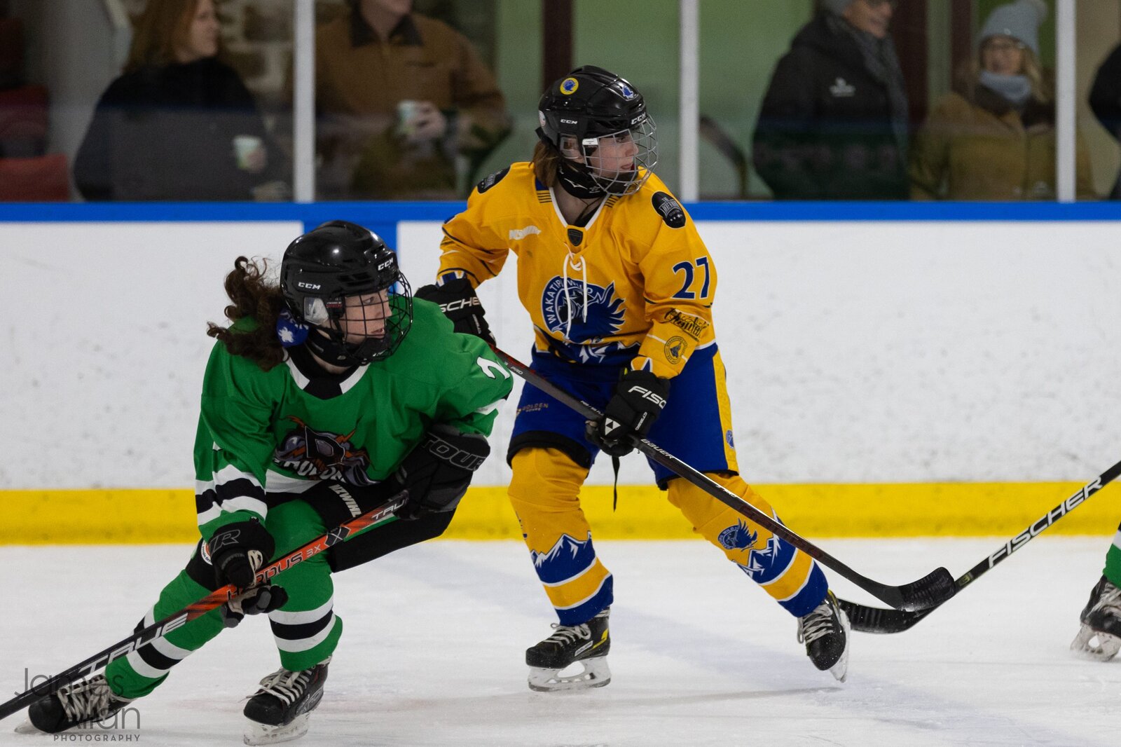 Five skaters and a goalie