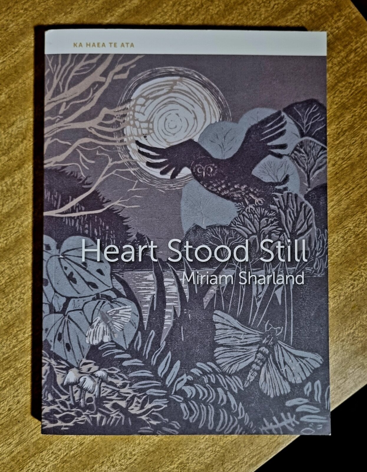 Book review: Heart Stood Still
