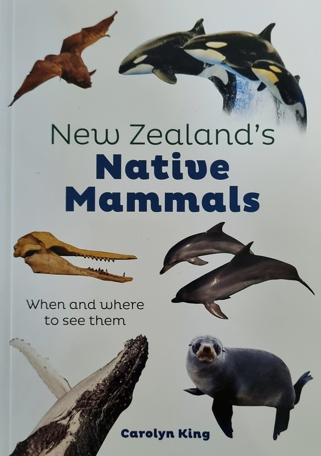 Book reviews: mammals and lizards