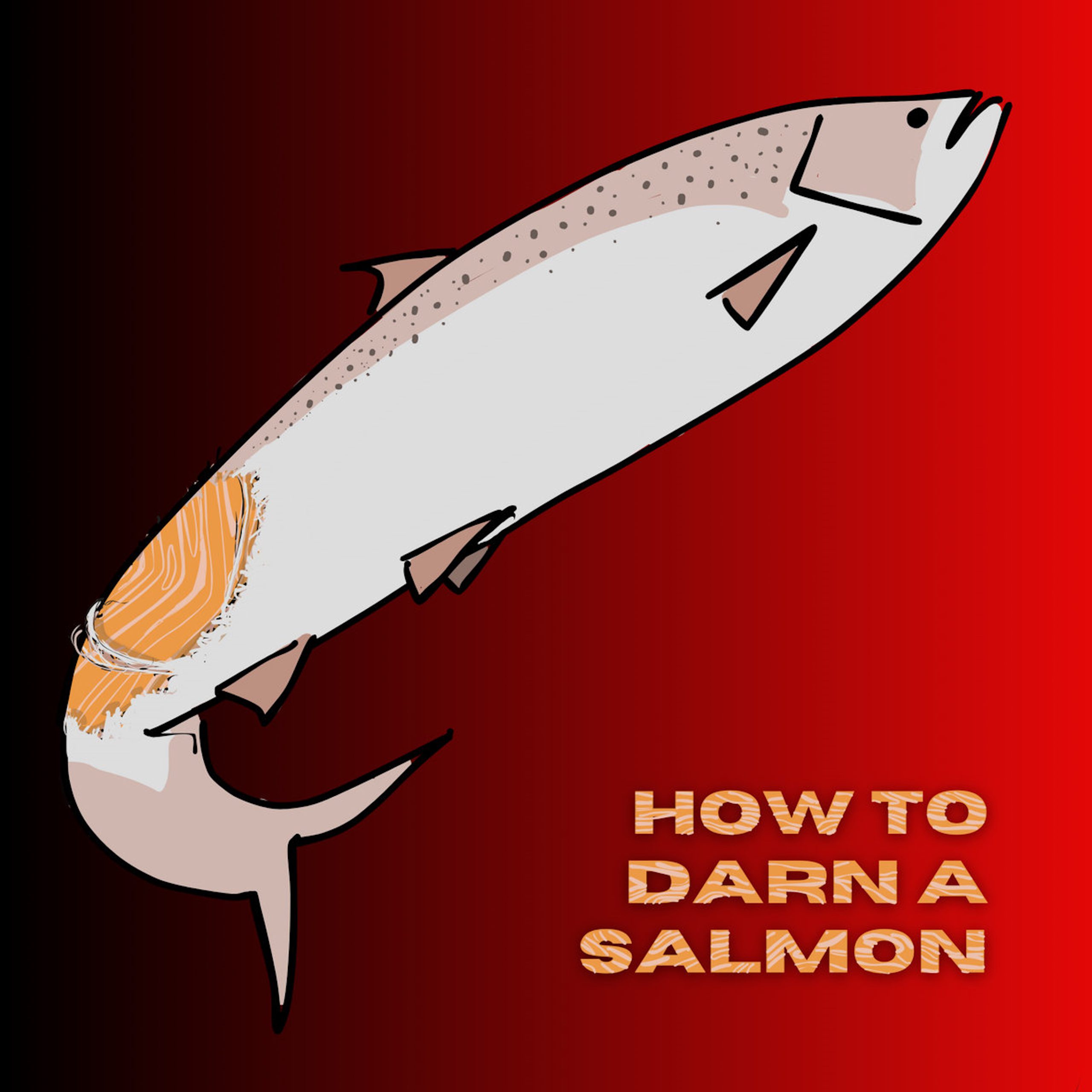 How to Darn a Salmon